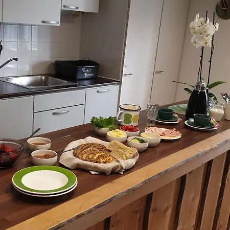 Hiitolanjoki B&B Rautjarvi (South Karelia)
